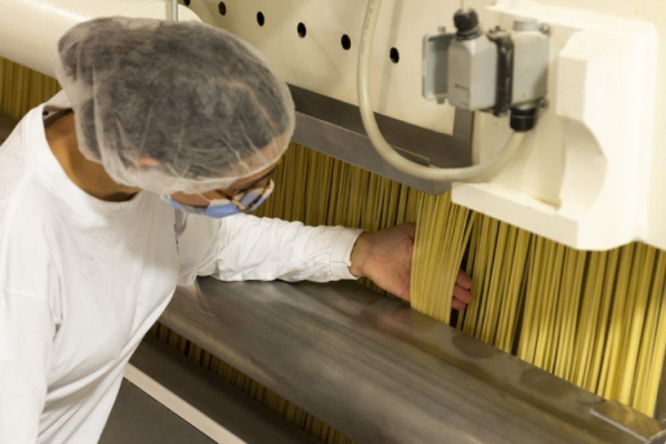 Good Food Makers 2022