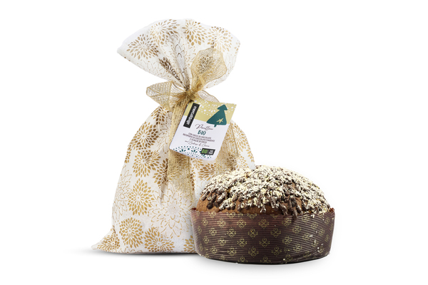 Panettone bio cioccolato e cocco