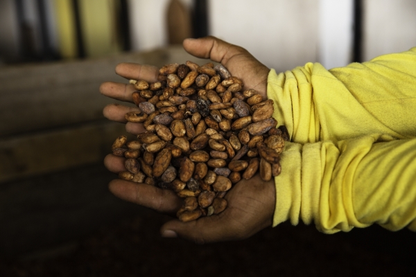 Foto Ecuador - Maquita Crediti: Foto di Beatrice De Blasi 