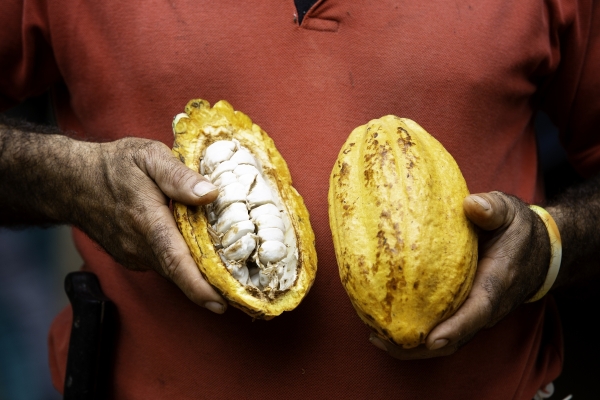 Foto Ecuador - Maquita Crediti: Foto di Beatrice De Blasi 