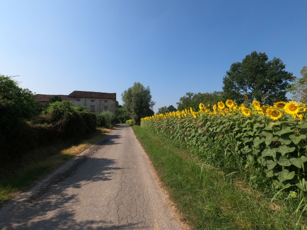 Summer Camp “Campagne Etiche”