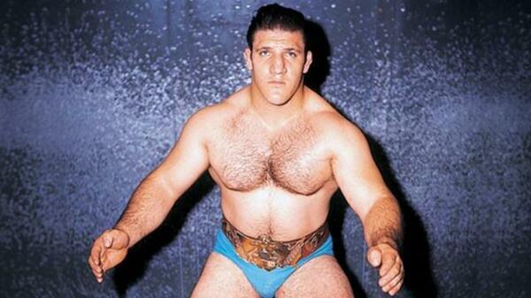 Bruno Sammartino, wrestler