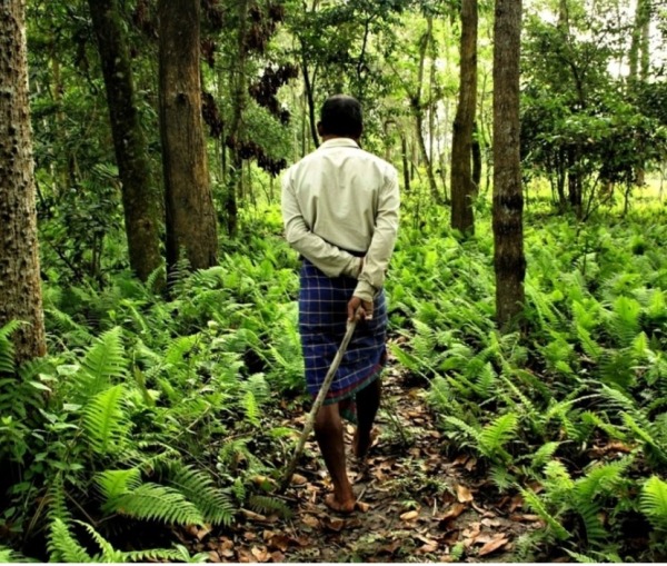 The Forest Man of India, Jadav Molai Payeng, fondatore di Smily