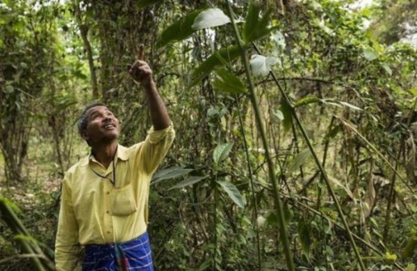The Forest Man of India, Jadav Molai Payeng, fondatore di Smily