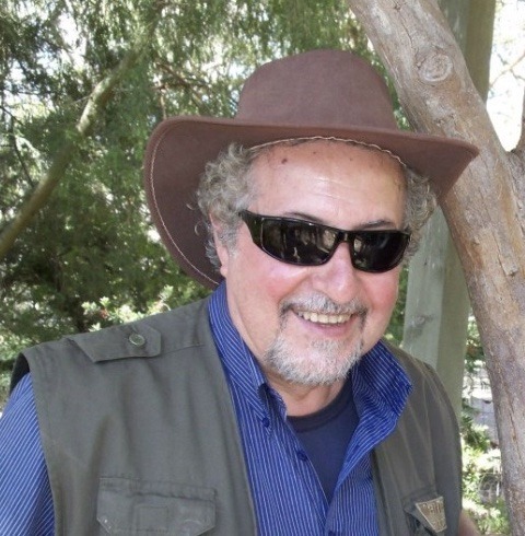 Umberto Torelli_giornalista