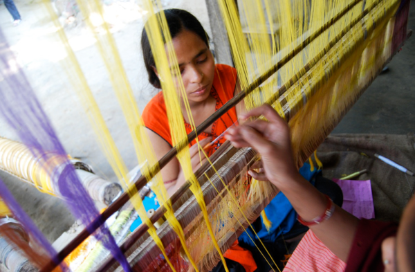 Produttori Sasha India 