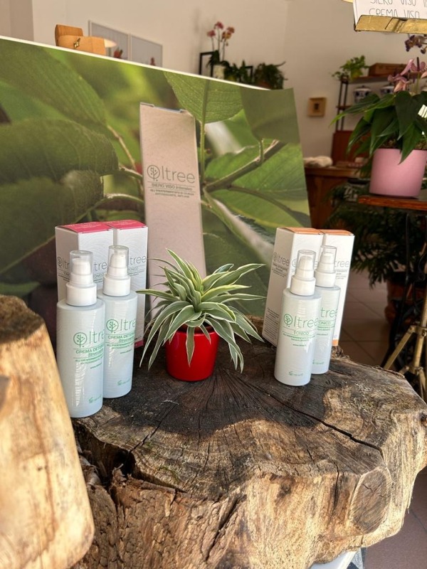 interno negozio OLTREE