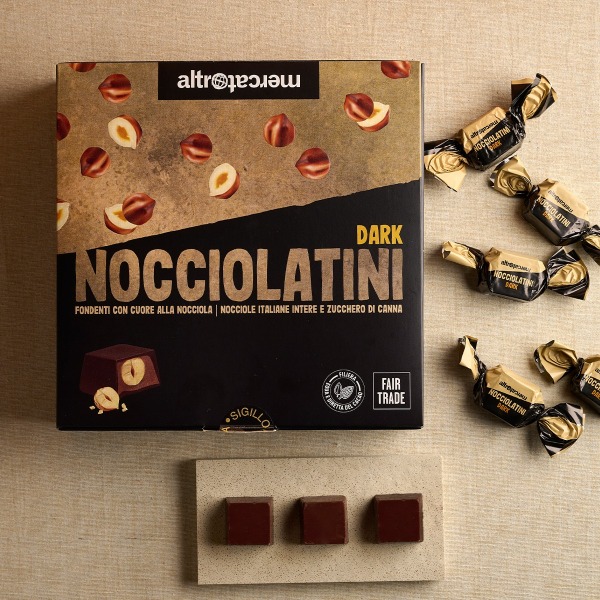 Nocciolatini - cioccolatini fondenti alla nocciola