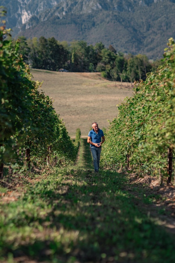 Francesco Drusian presso Tenuta di Cart 