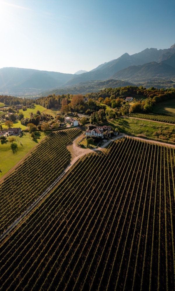 Veduta aerea Tenuta di Cart
