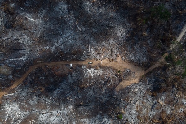 Veduta aerea di un campo di 739 ettari di foresta amazzonica bruciata a seguito di incendi dolosi. Quest'area della foresta fa parte della TI Cachoeira Seca, una riserva indigena protetta che appartiene al popolo Arara. Per disboscare un'area del genere, 20 persone e sei motoseghe lavorano sul posto a 1.000 reais a cespuglio (circa 160 euro) per due mesi di lavoro. Questo lavoro illegale è stato commissionato da Preto e Wagsmar Carneiro e da altri due agricoltori che intendevano condividere la terra per l'allevamento del bestiame. Una pista di atterraggio era pronta per seminare i semi del pascolo prima dell'arrivo delle piogge. La giustizia prevede una multa di un milione e duecentomila reais per questo tipo di reato, ma nella regione, in casi come questo, si è finito per pagare la somma di 5.000 reais in cinque lotti da 1000. Tra gli agricoltori responsabili del disboscamento di quest'area, c'è un deputato locale. Altamira, Para, Brasile, 2019. Dalla serie Holy Cow © Carolina Arantes.
