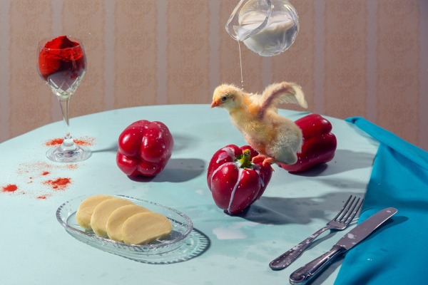 Kuře na paprice. Il pollo alla paprika è un piatto originario dell’Ungheria. Era popolare in tutto l’Impero austriaco, anche nelle terre ceche, dove è ancora oggi una portata molto diffusa. Dalla serie Kukbuk © Kateřina Sýsová