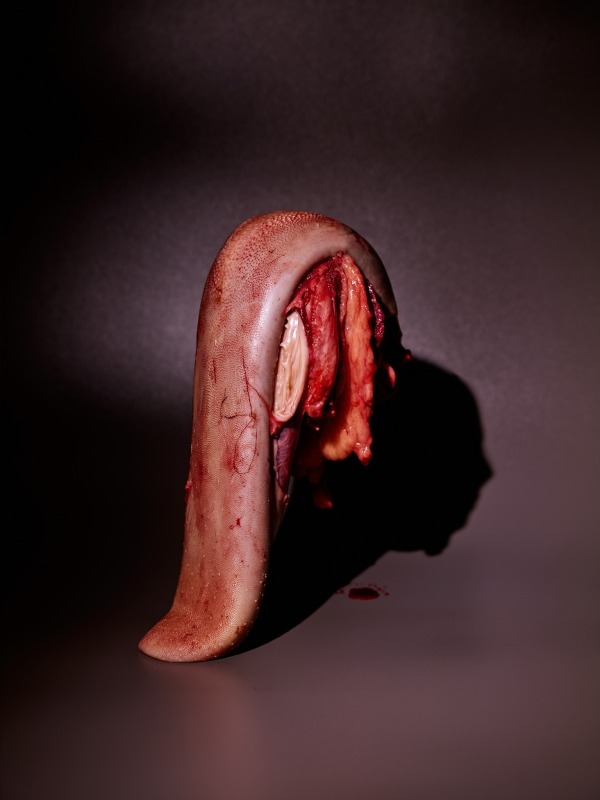 Dalla serie CŪ © Florian W. Müller