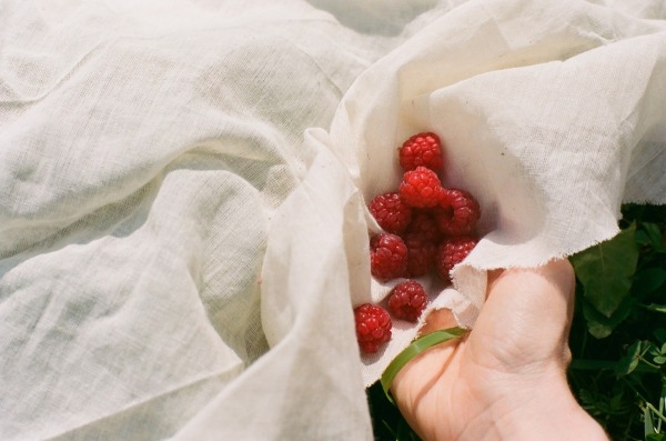 Dalla serie Merci pour ton agréable visite, les jolies fleurs et les délicieuses fraises © Sarah Boutin