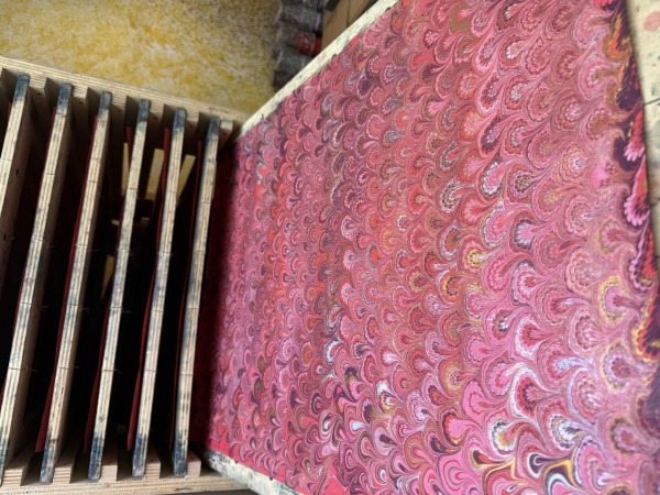 Libreria Toletta | Venezia