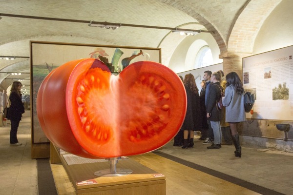 Barilla - Accademia e Biblioteca Gastronomica 