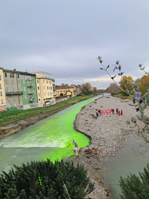 Extinction Rebellion: fiumi verdi a Parma
