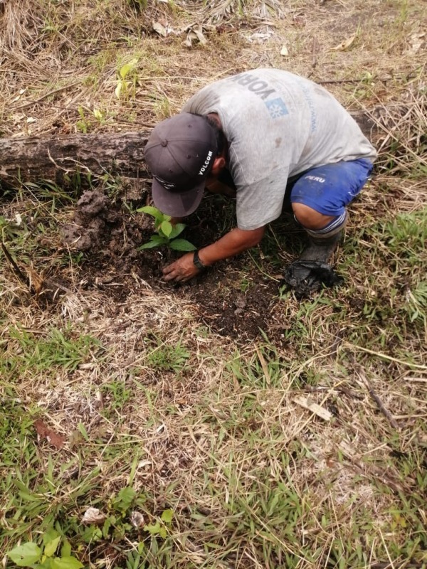 Progetto GROW - ERACLIO URBANO QUISPE 