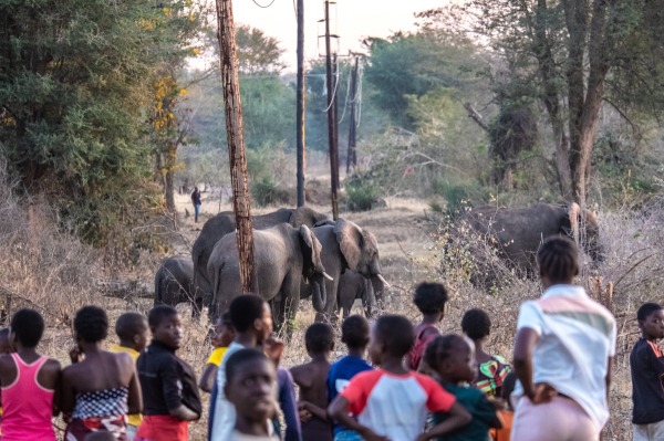 014_Africa_Stories_Tommy Trenchard_Panos Pictures_for NPR.jpg
