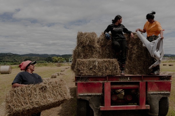 Apprentices from a local school learn essential farming skills at Tataiwhetu Trust, an organic dairy farm – the united effort of six families. Ruatoki, New Zealand, 14 January 2022.