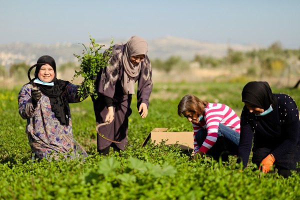 Association of Women’s Action for Training & Rehabilitation - AOWA