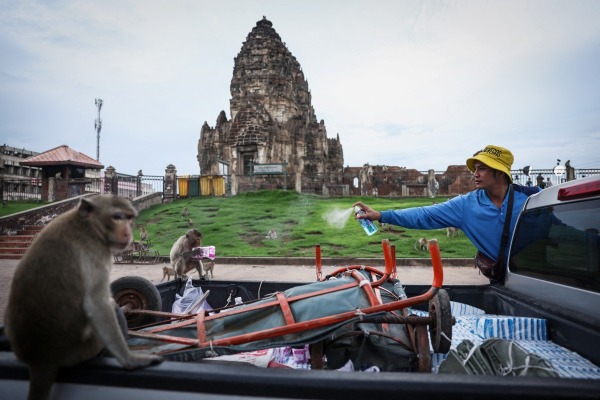 Chalinee Thirasupa - No More Monkey Mania in Thai Town