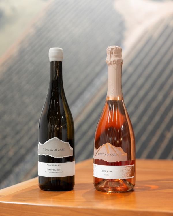 Selezione vini Drusian