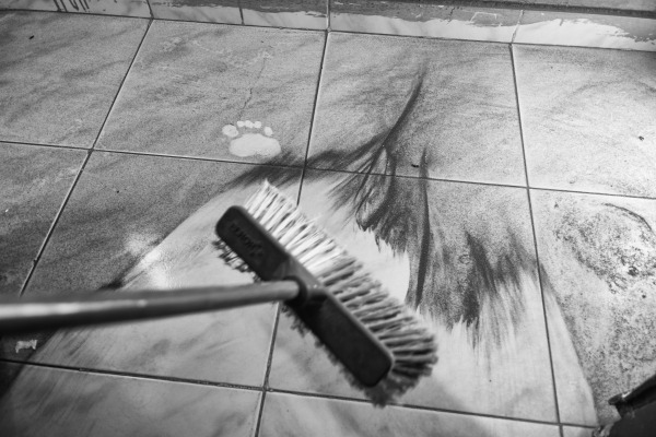 016-Africa-LTP-Mohamed Mahdy-Arab Documentary Photography Program