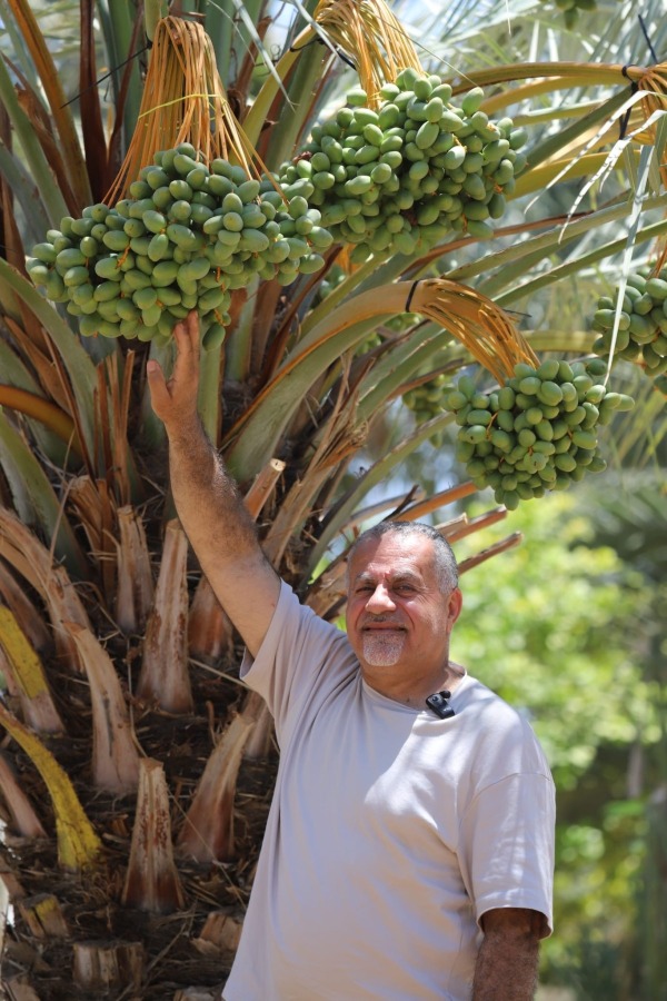 Prof. Mohammed Hmidat, docente universitario e direttore esecutivo Al Reef | crediti foto Al Reef