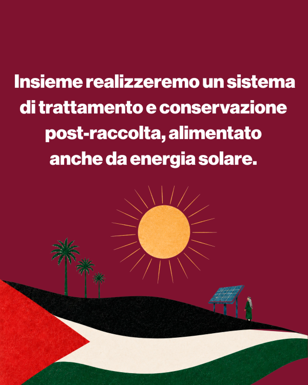  Campagna 