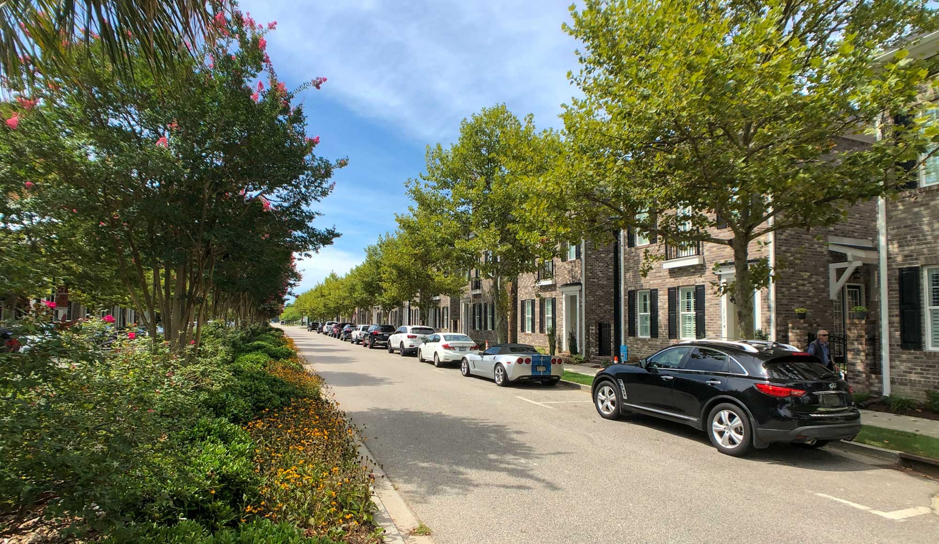 Wentworth_Park_13.jpg