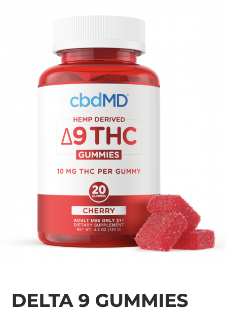 delta one review 2022