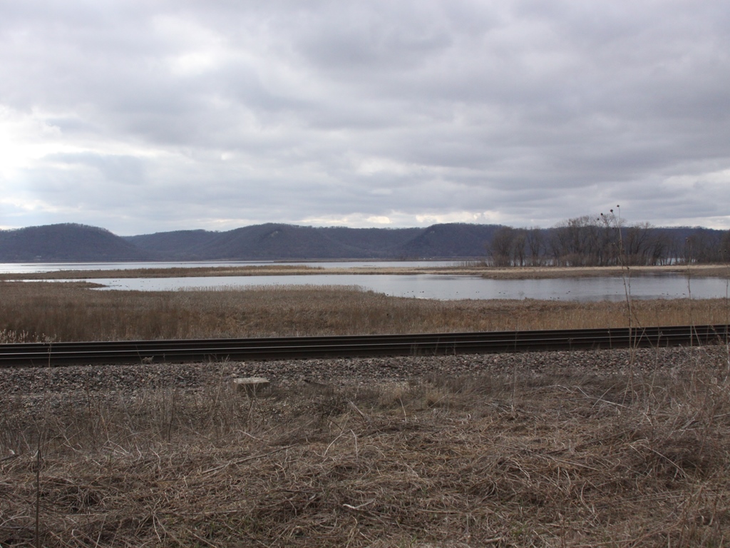 Hotspots of the Month Upper Mississippi River NWRShady Maple