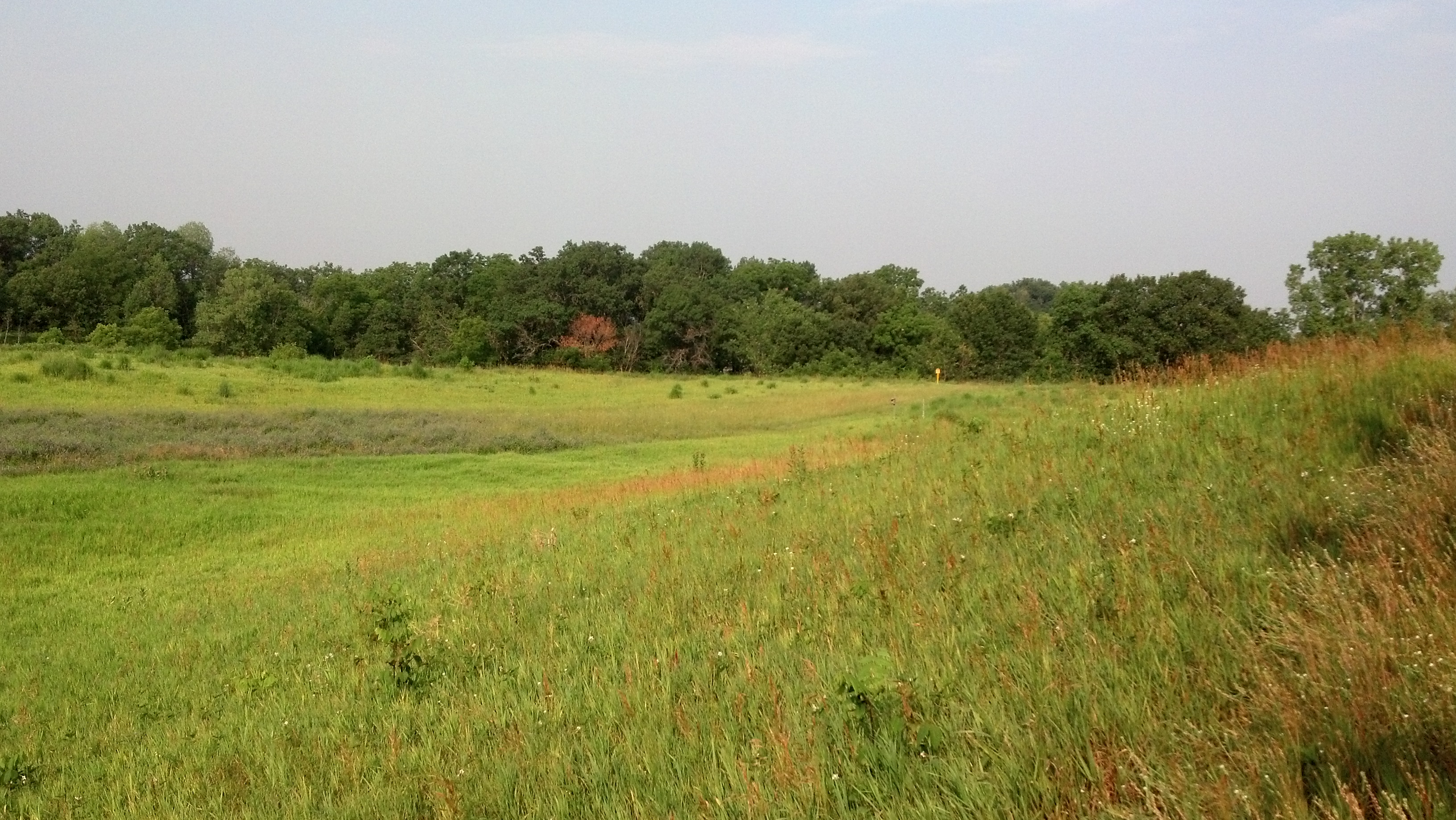 Hotspot of the Month La Riviere Park Wisconsin eBird