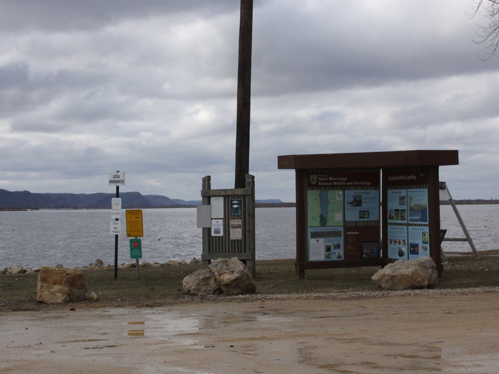 Hotspots of the Month Upper Mississippi River NWRShady Maple