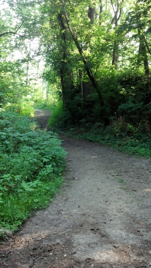 Hotspot of the Month La Riviere Park Wisconsin eBird