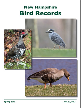 A New Look for New Hampshire Bird Records - New Hampshire eBird