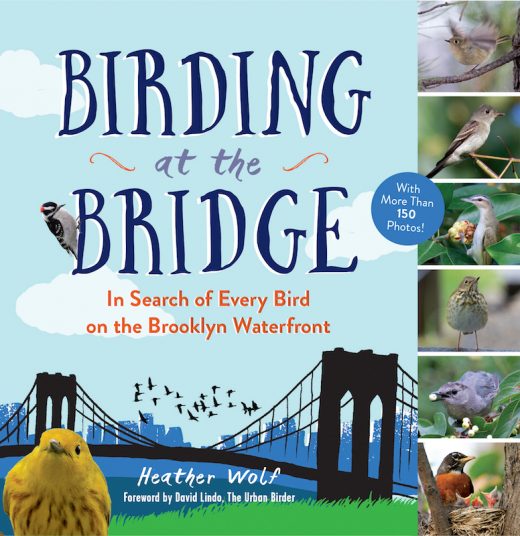 eBirder’s Urban Patch Hatches a Book - eBird