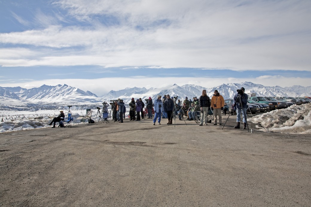 Gunsight Mountain Seasonlong Alaska hawkwatch targets Golden Eagles