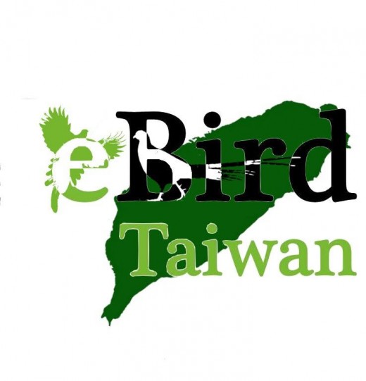 Introducing eBird Taiwan eBird