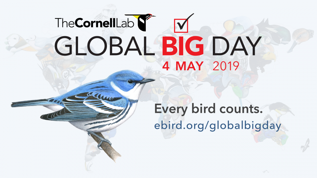 Global Big Day—4 May 2019 - eBird Australia