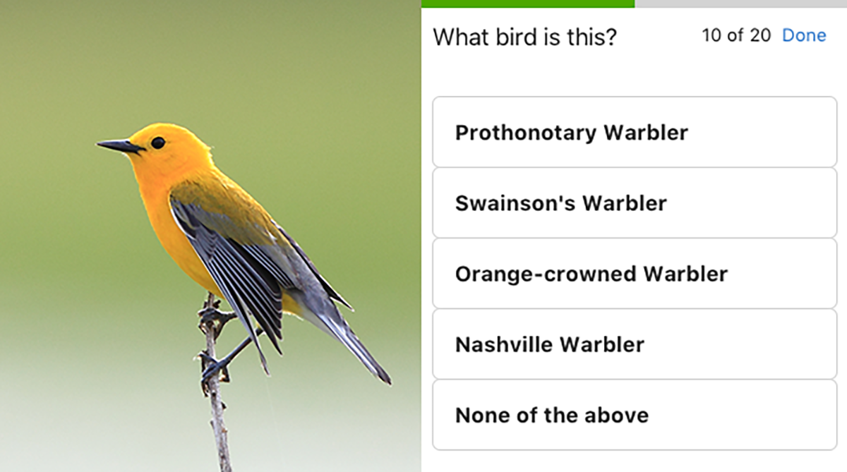 eBird photo + sound quiz - eBird Australia