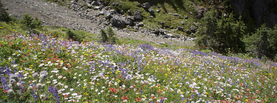 Hikes_generic2