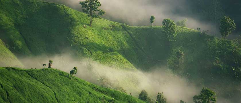 2025 Sustainability Reporting: Global Trends in Framework Adoption