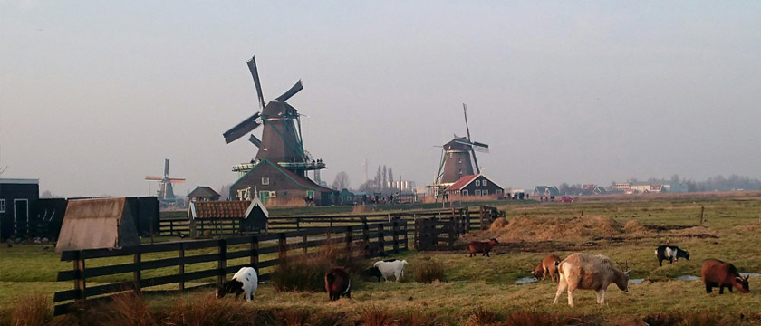 EU Sustainability Rules Reset: What the 2026 Changes Mean