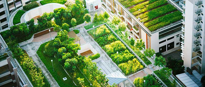 Financing Climate Change Adaptation: Turning Risk into Resilience