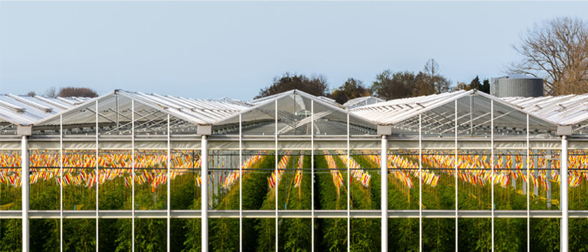 GHG Reduction Targets: Adoption Trends and Market Differences