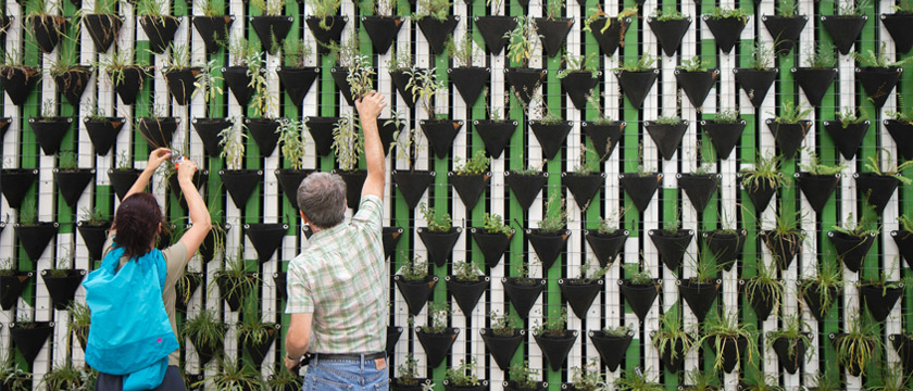 How Nature Bonds Shape the Future of Sustainable Finance & Biodiversity