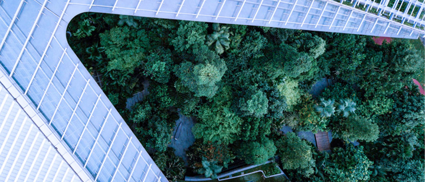 How Sustainability Mandates Shape Proxy Voting