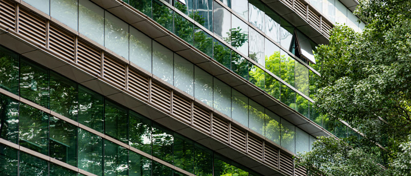 IFRS Sustainability Disclosure Standards: What Companies Need to Know